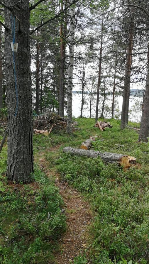 Siljonranta Villa Muonio Eksteriør bilde
