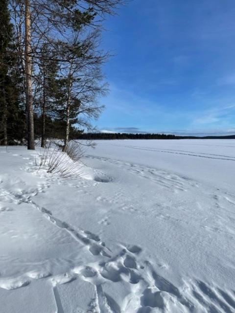 Siljonranta Villa Muonio Eksteriør bilde